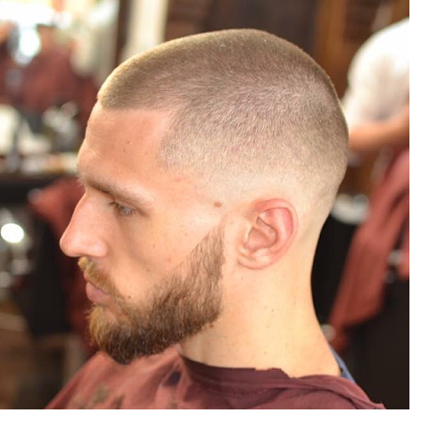 Clipper Cut (two+ grades all over)